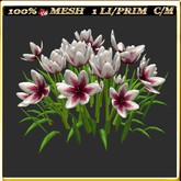 LW_ Group of Petunias (1 LI / Prim)