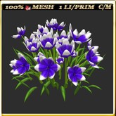 LW_ Group of Tulips 9 (1 LI / Prim)
