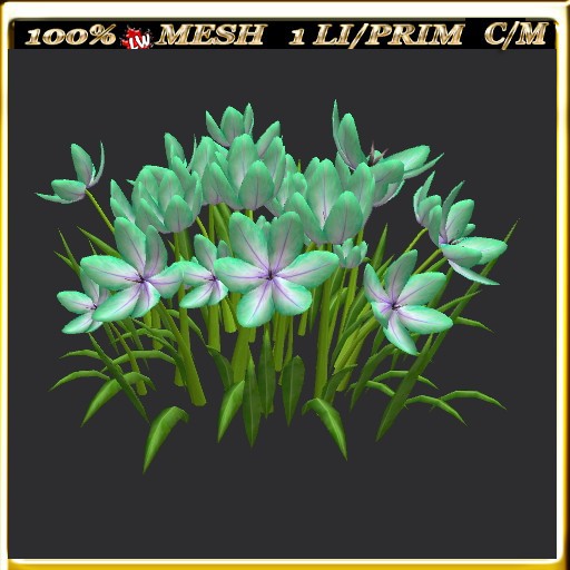 LW_ Group of Petunias (1 LI / Prim)
