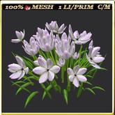 LW_ Group of Petunias (1 LI / Prim)