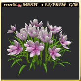 LW_ Group of Petunias (1 LI / Prim)