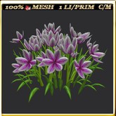 LW_ Group of Petunias (1 LI / Prim)