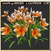 LW_ Group of Petunias (1 LI / Prim)