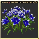 LW_ Group of Tulips 26 (1 LI / Prim)