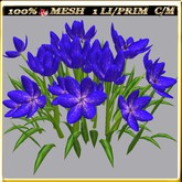 LW_ Group of Petunias (1 LI / Prim)