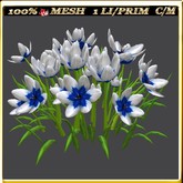 LW_ Group of Petunias (1 LI / Prim)