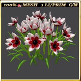 LW_ Group of Petunias (1 LI / Prim)