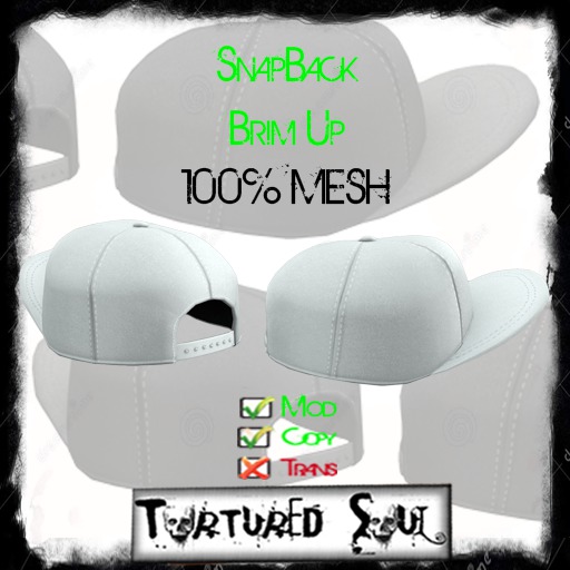 *{TS}* SnapBack BrimUp White