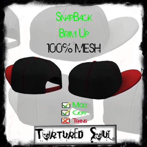 *{TS}* SnapBack BrimUp Black/Red