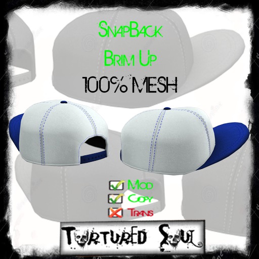 *{TS}* SnapBack BrimUp White/Blue