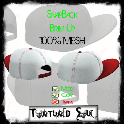 *{TS}* SnapBack BrimUp White/Red