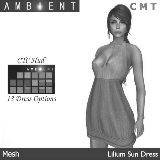 [AMBI] Mesh Lilium Sun Dress (BOXED)