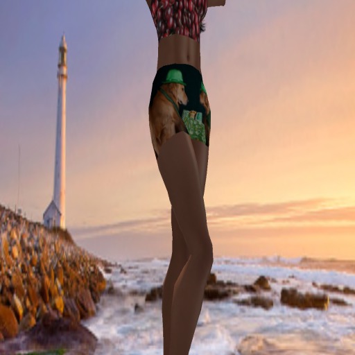 irish party setters shorts