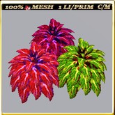 LW_ 3 Coleus Plants - 7 (1 Prim / Land Impact)