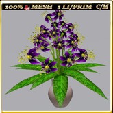 LW_ Group of Petunias (1 LI / Prim)