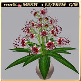 LW_ Group of Petunias (1 LI / Prim)