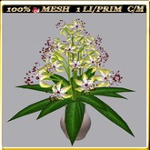 LW_ Group of Petunias (1 LI / Prim)