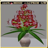 LW_ Mesh Star Flowers 11 (1 LI / Prim)