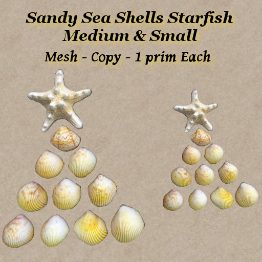 Sandy Sea Shells Starfish Med & Sm