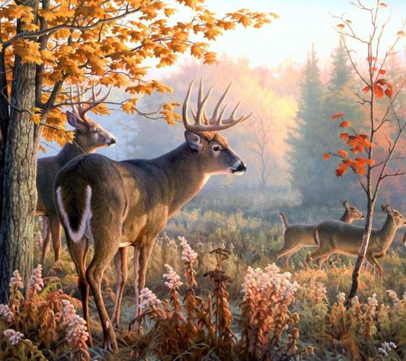 fantasy deer 1