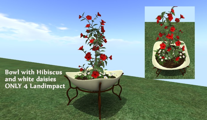 Bowl with Hibiscus and white daisies