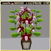 LW_ Wedding Orchid Arrangement 4 (1 Prim / LI)