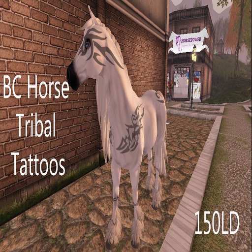 BC Tribal Tattoo