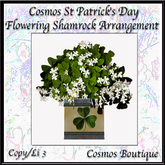 Cosmos St Patrick's Day Flowering Shamrock Arrangement (Box)