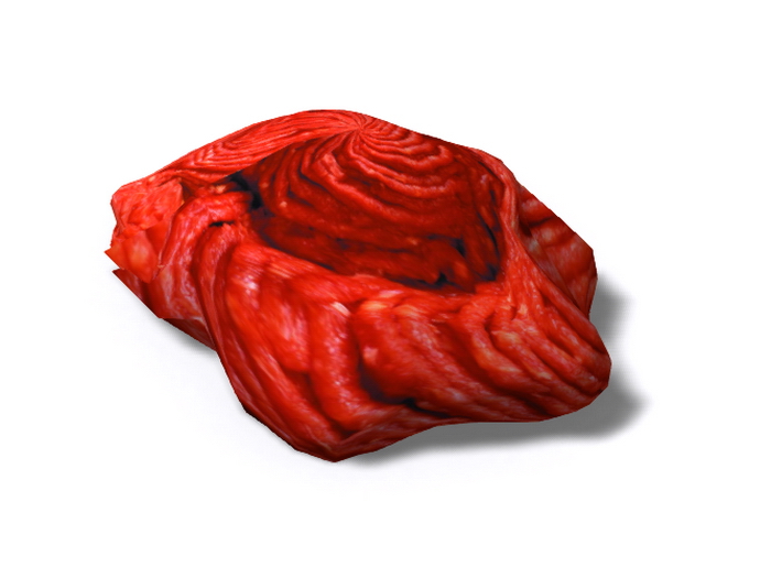 Raw Ground Beef Sculpty