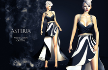 Asteria Creations - Crystal Mesh Gown Set - Zebra