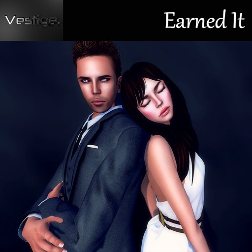 Vestige - Earn it Box