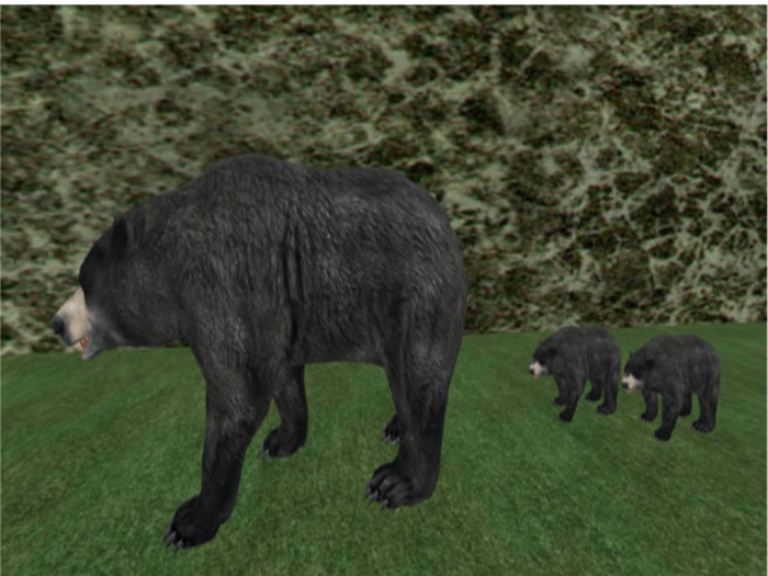 TusK Moving Mesh Mama Bear with Cubs, (Boxed)