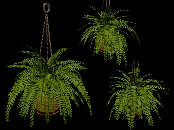 Plants Mesh - Collection