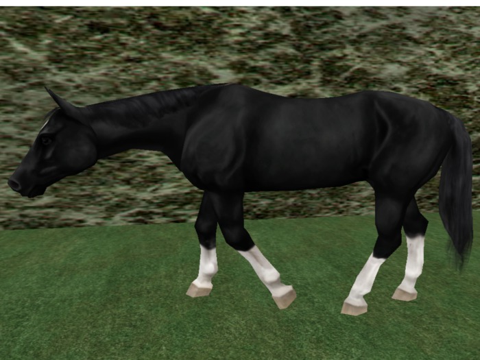 Tusk Mesh Black Moving Horse, ( Boxed)