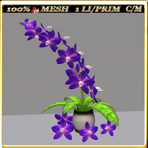 LW_ Orchids - 4 (1 Prim / LI)