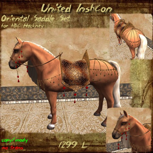*UI* ABC Hackney Orient Saddle Set cm v