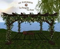 Fleuriste*laPERGOLA tea rose