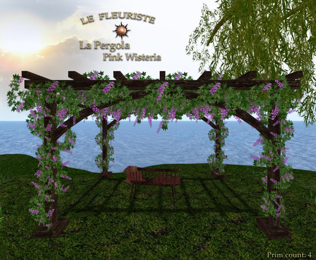 F*laPERGOLAwisteria1