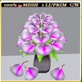 LW_ Calla Lilies 17 (1 LI/ 1 Prim)
