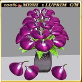 LW_ Calla Lilies 21 (1 LI/ 1 Prim)