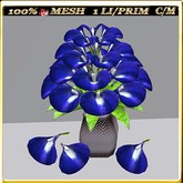 LW_ Calla Lilies 23 (1 LI/ 1 Prim)