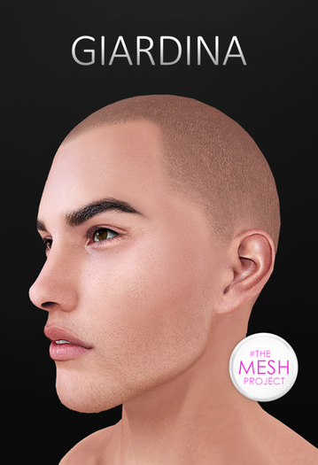 Giardina - YANKEE - White (Bagged)