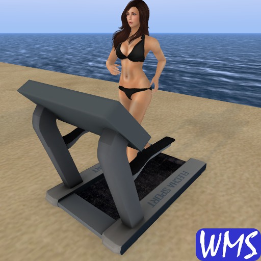 WMS Treadmill