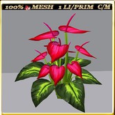 LW_CallaLilyText_9