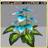 LW_ Ground Anthuriums - 20 (1 LI/ 1 Prim)