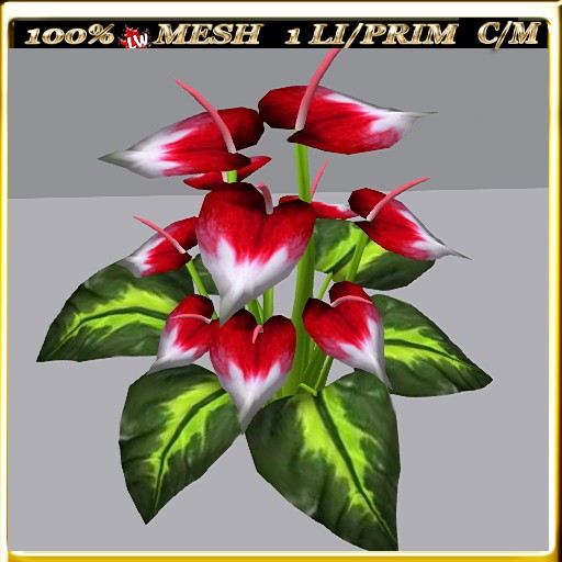 LW_CallaLilyText_9