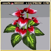 LW_CallaLilyText_9