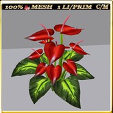 LW_CallaLilyText_9