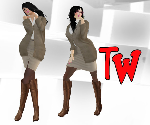 TW>Ladys Business Cardigan Dress Brown