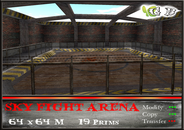 SKY FIGHT ARENA